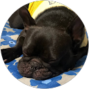 千恵 profile picture